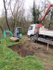 Zasaditev 21. nov. 2018 (2)